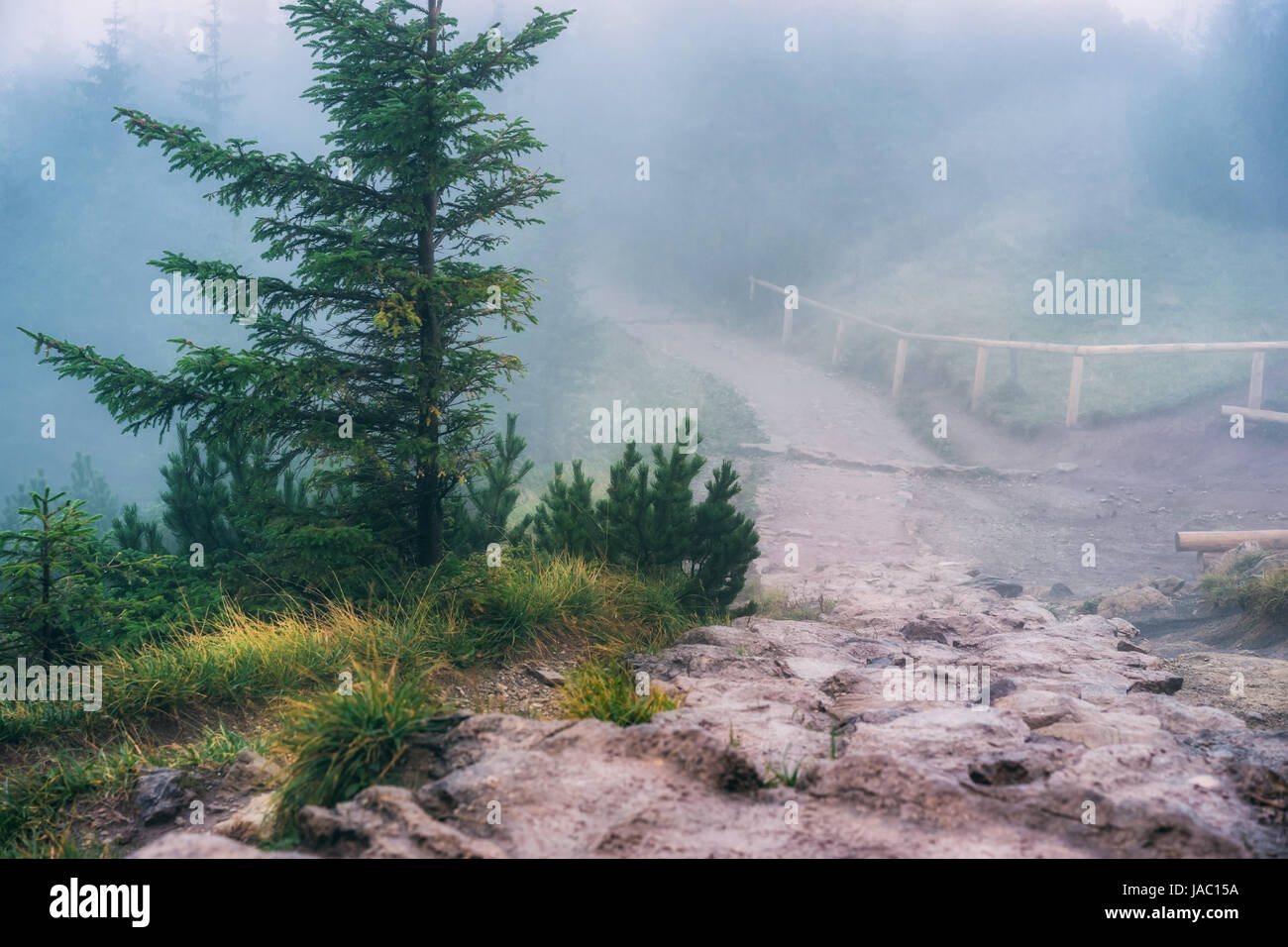 Percorso di montagna nebbioso. Western Tatra, Polonia Foto Stock