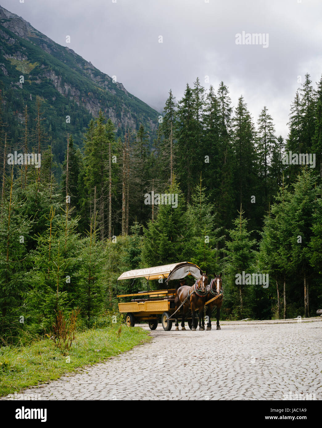 Autentica carrozza trainata da cavalli sul modo di Morskie Oko lago, Alti Tatra, Polonia Foto Stock