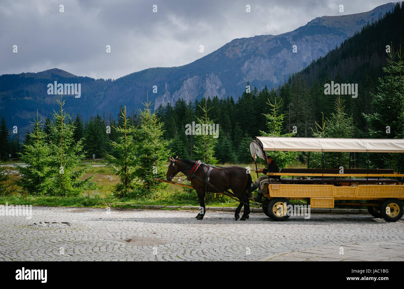 Autentica carrozza trainata da cavalli sul modo di Morskie Oko lago, Alti Tatra, Polonia Foto Stock