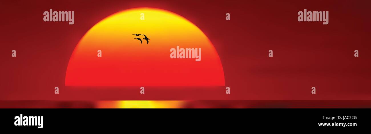 Suggestiva immagine di uccelli nella parte anteriore del sole di setting e bellissimo cielo rosso Illustrazione Vettoriale