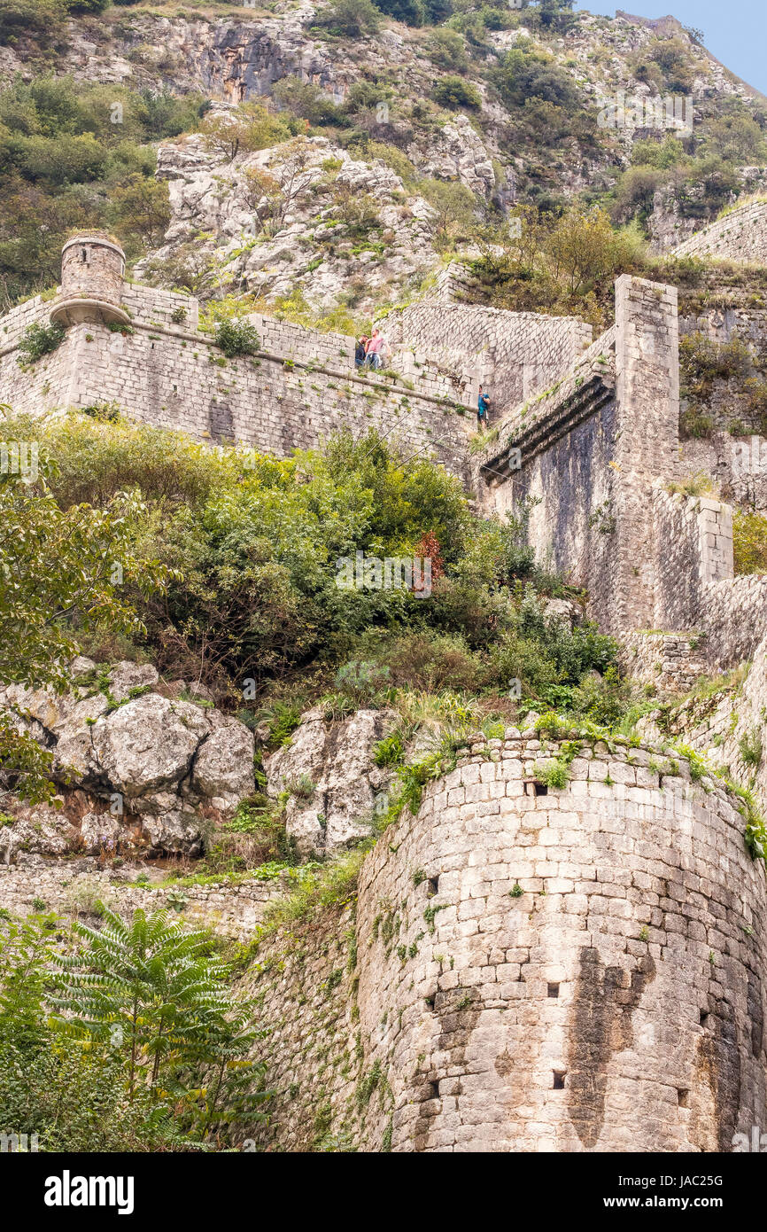 Una parte della parete della città, Kotor, Montenegro Foto Stock