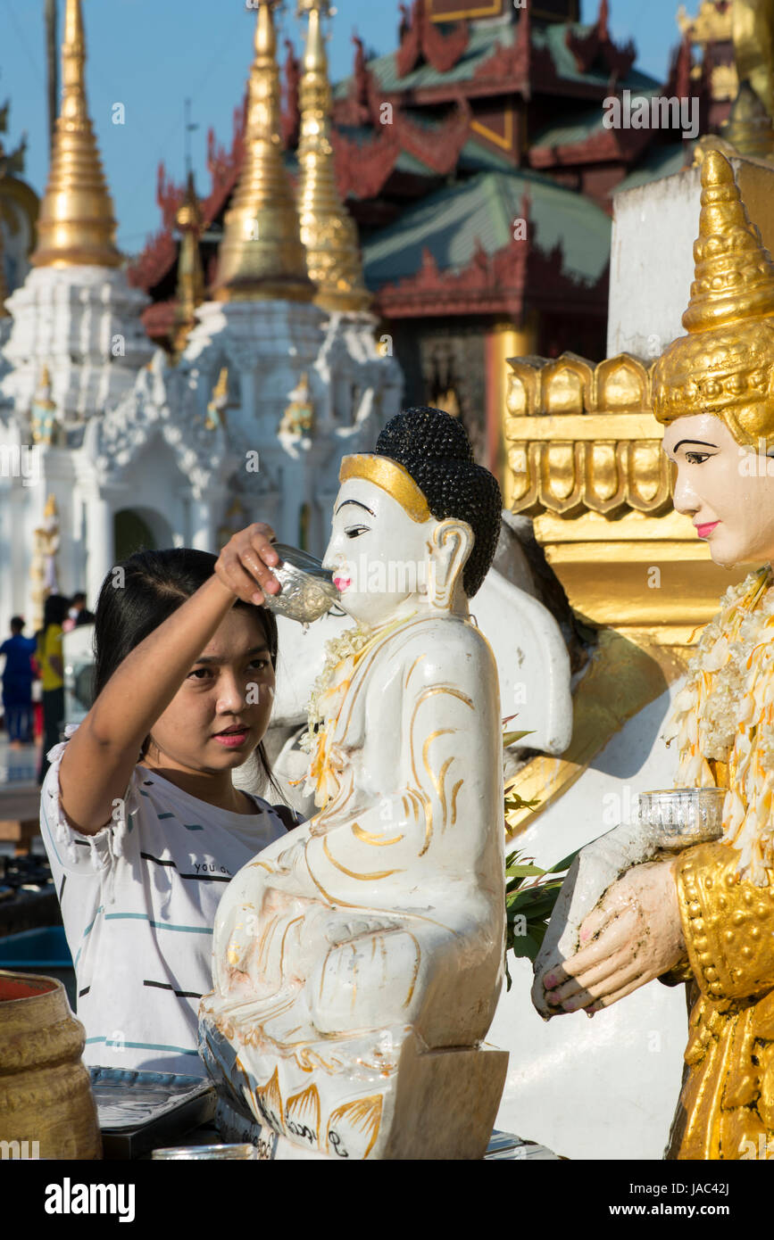 Un pellegrino bagna una statua del Buddha con acqua come un token di fortuna alla Shwedagon pagoda in Yangon (Rangoon), Myanmar (Birmania) Foto Stock