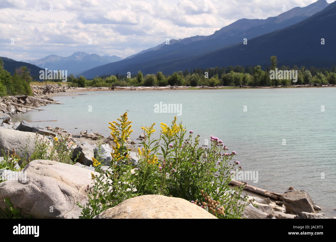 Canada - lago di alce Foto Stock