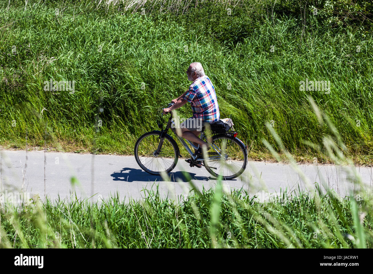 Ciclista tedesca, un uomo che guida una bici sassone Svizzera regione, Bad Schandau, Sassonia, Germania, Europa senior riding bike Foto Stock