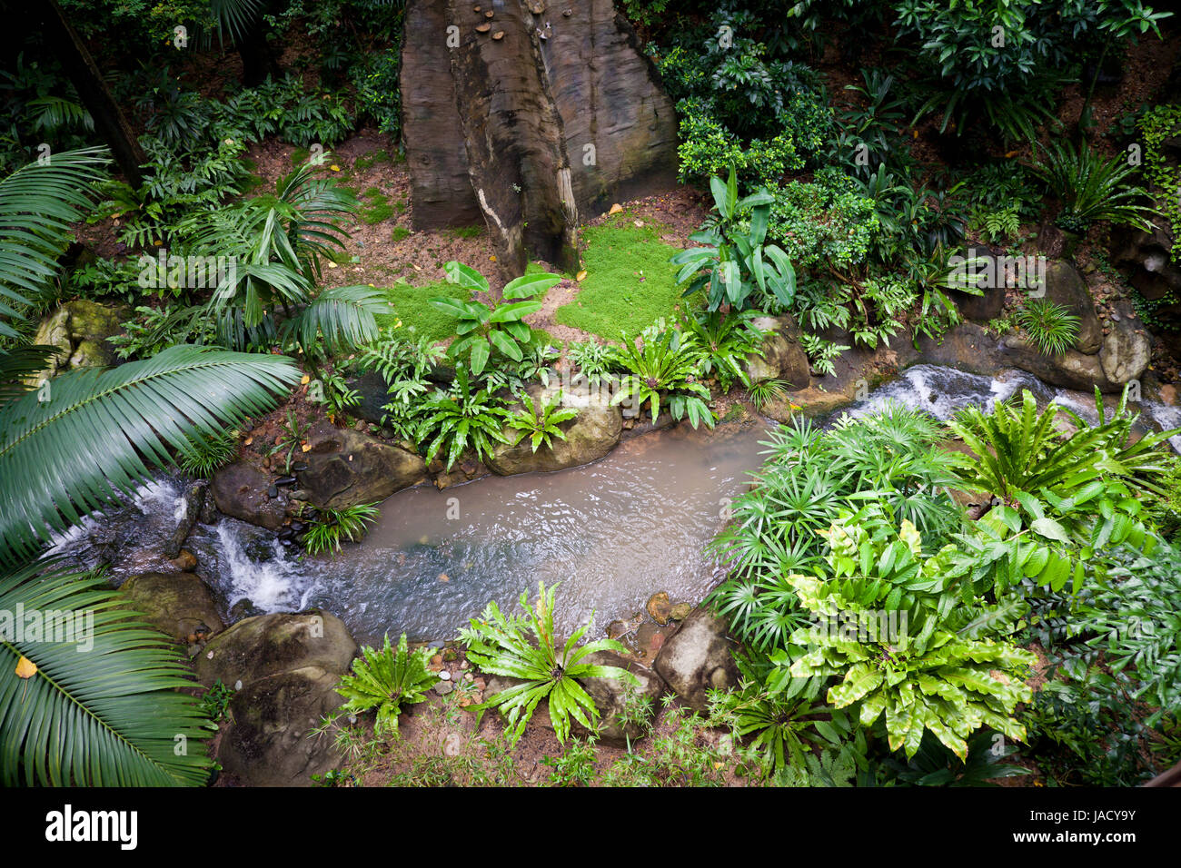 Lussureggiante verde tropicale giungla esotica natura sfondo Foto Stock
