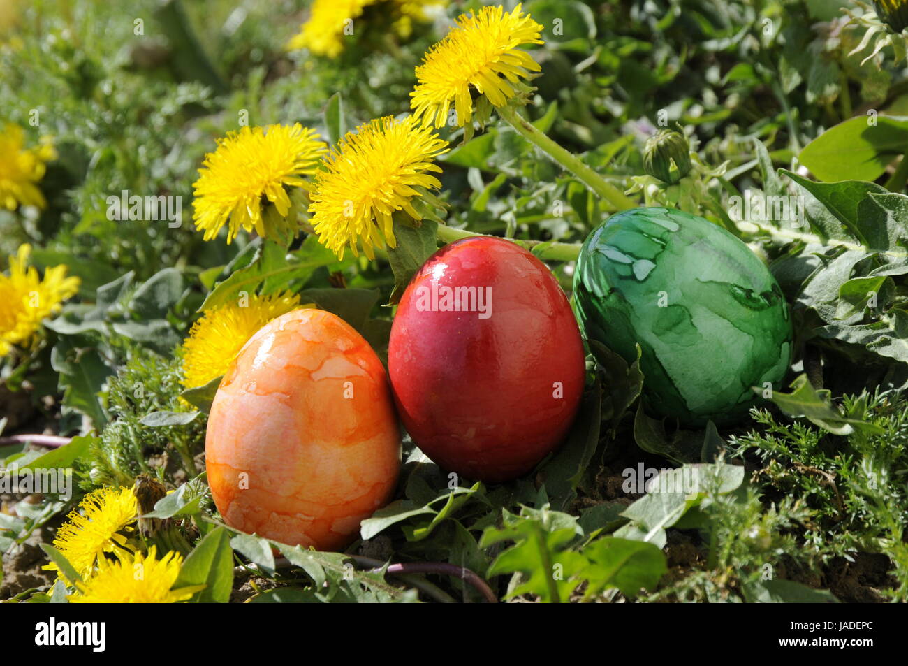 Ostereier, Osterei, ei, eier, ostern, osterfest, löwenzahn, gelb ...