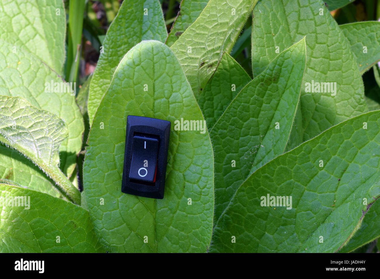 Foglie con inserito un interruttore di accensione ruotata in posizione on. Conservazione uniche e green business concetto. Foto Stock