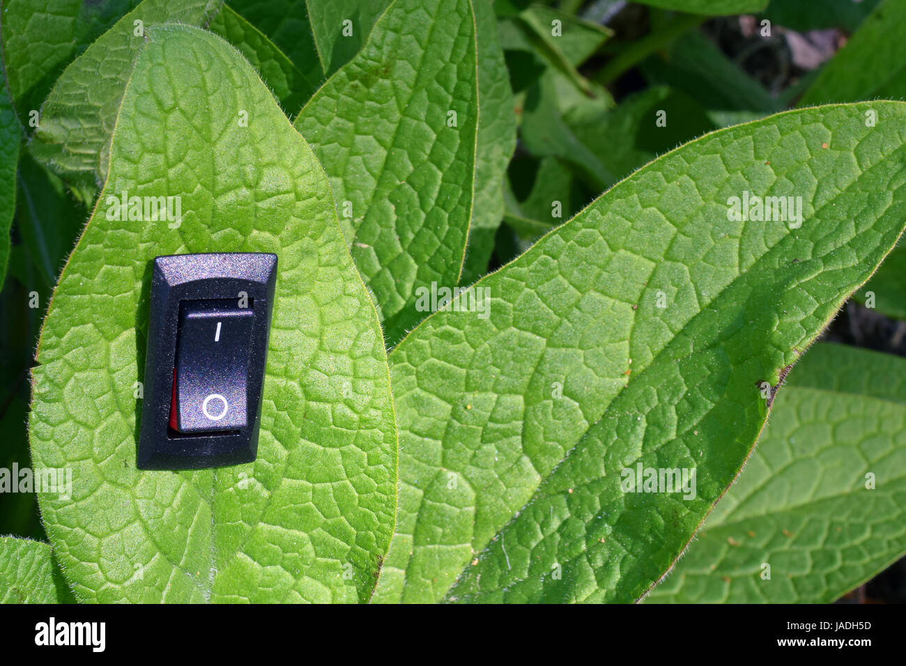 Foglie con inserito un interruttore di accensione ruotata in posizione on. Conservazione uniche e green business concetto. Foto Stock