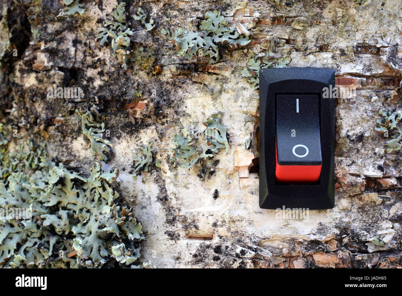 Interruttore di potenza installata sulla betulla. Concetto di conservazione, green business e energia alternativa. Foto Stock