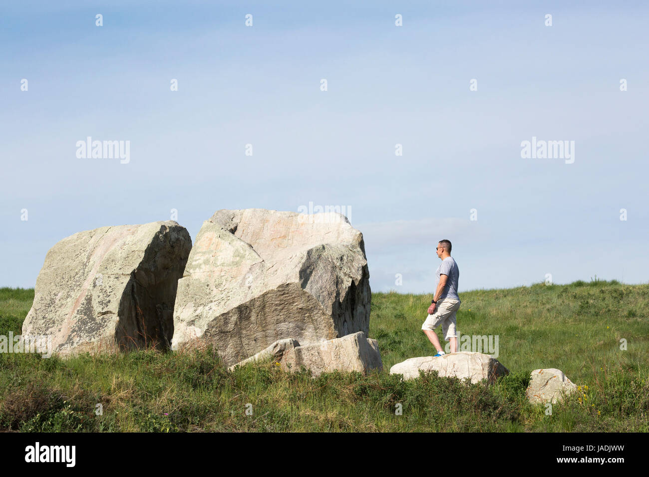 Uomo che guarda Split Rock, un artzite glaciale erratico portato dal Monte Edith Cavell a Calgary nel clima più freddo dell'era glaciale del Pleistocene Foto Stock