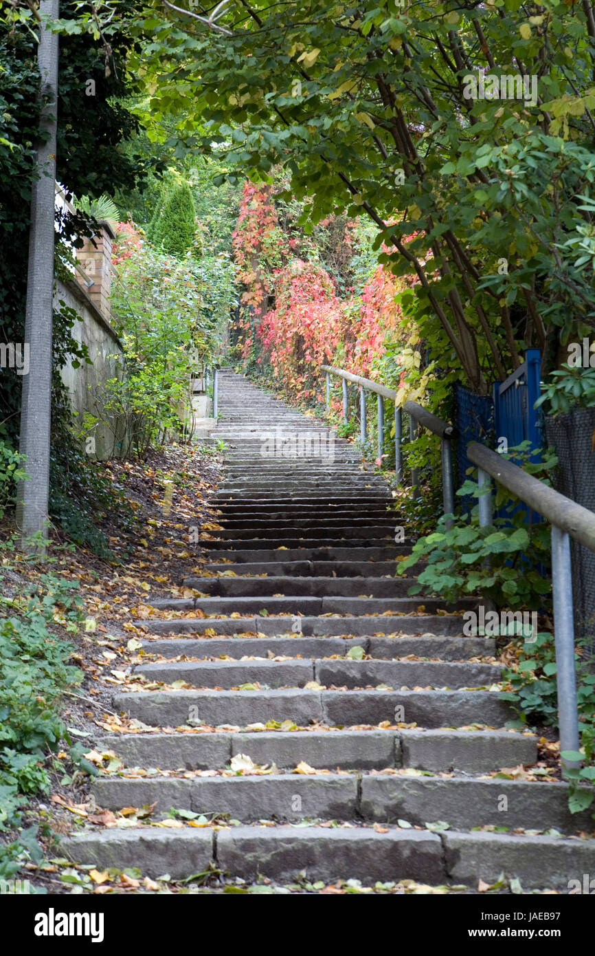 Treppe mit Laub herbstlichem, Bayern, Deutschland, Kaufbeuren Foto Stock