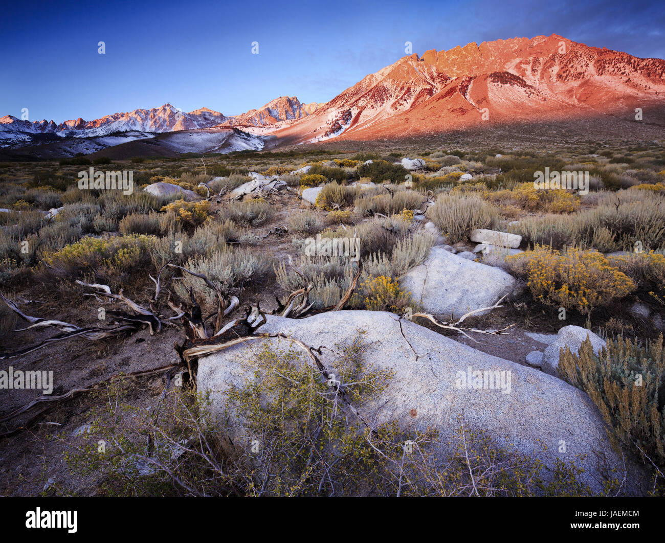 Latticello Hill nel Vescovo California Foto Stock