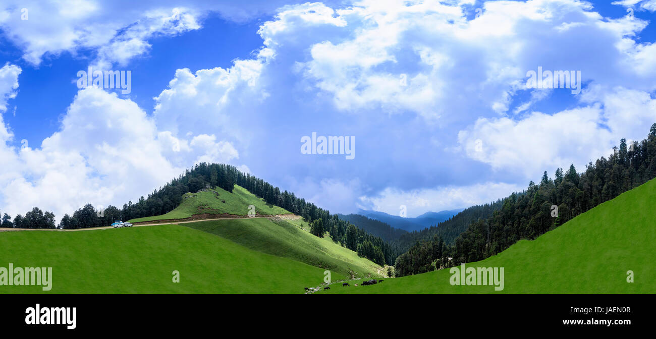 Gloriosa vista panoramica del bellissimo paesaggio della valle Janjheli vicino Shikari Devi Temple (il cacciatore DEA) in Himachal Pradesh Foto Stock