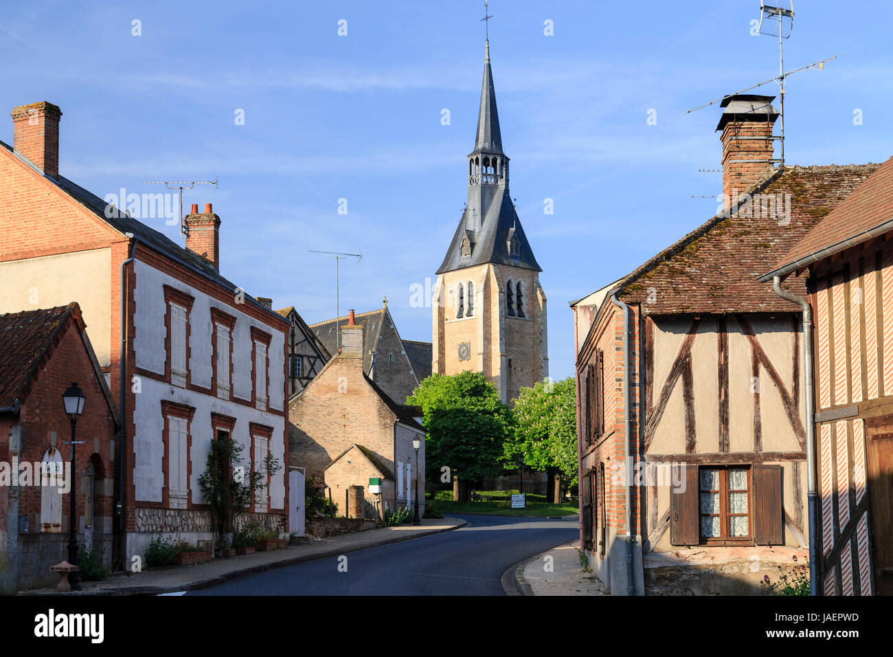 Francia, Loir et Cher, Sologne, Chaumont sur Tharonne Foto Stock