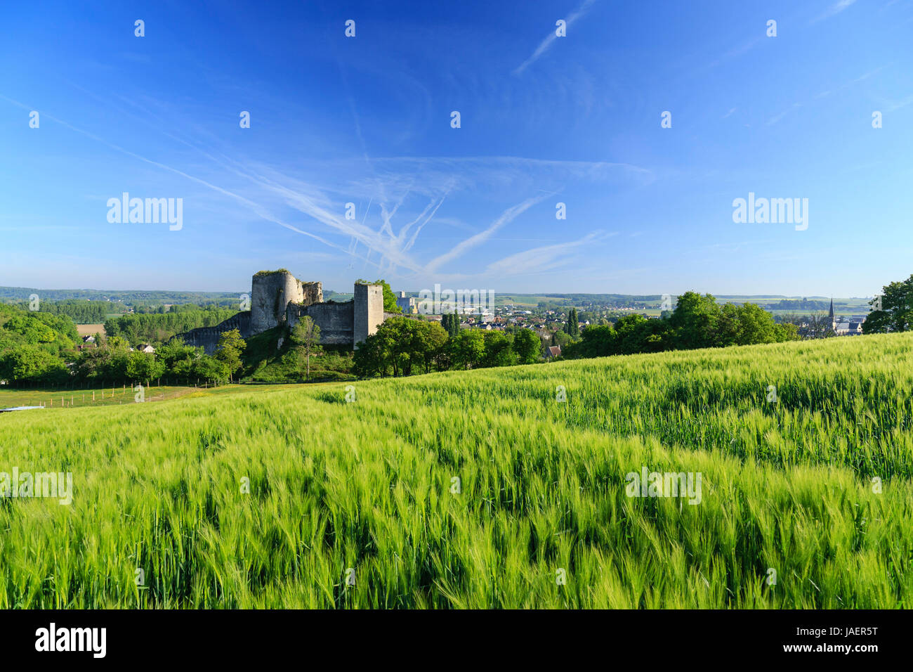 Francia, Loir et Cher, Montoire sur le Loir, il castello Foto Stock