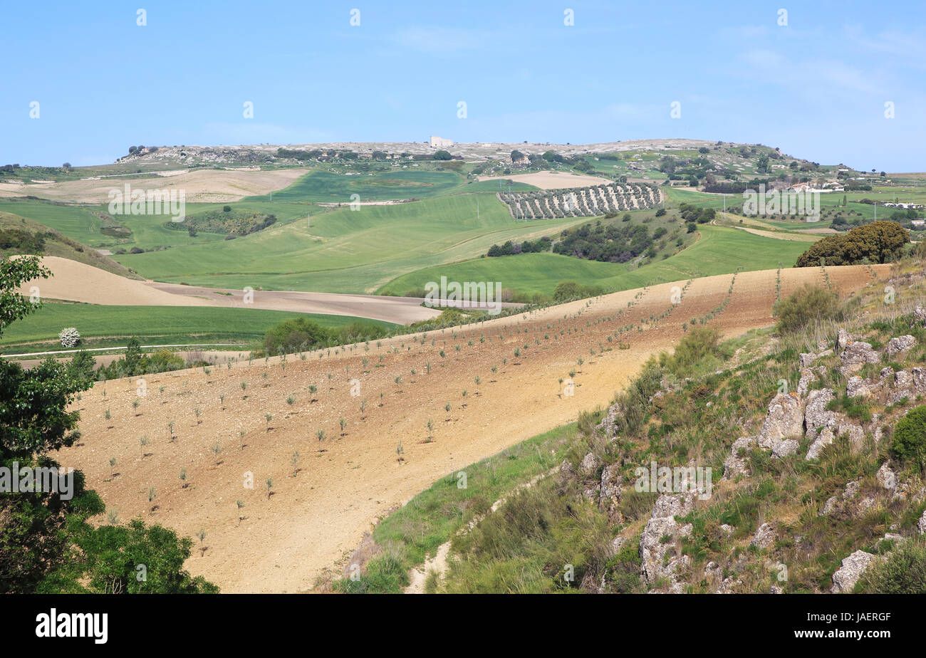 Paesaggio agricolo di Rio a Setenil valley, Cuevas del Marques, Serrania de Ronda, Spagna vista Acinipo Roman cittadina collinare Foto Stock