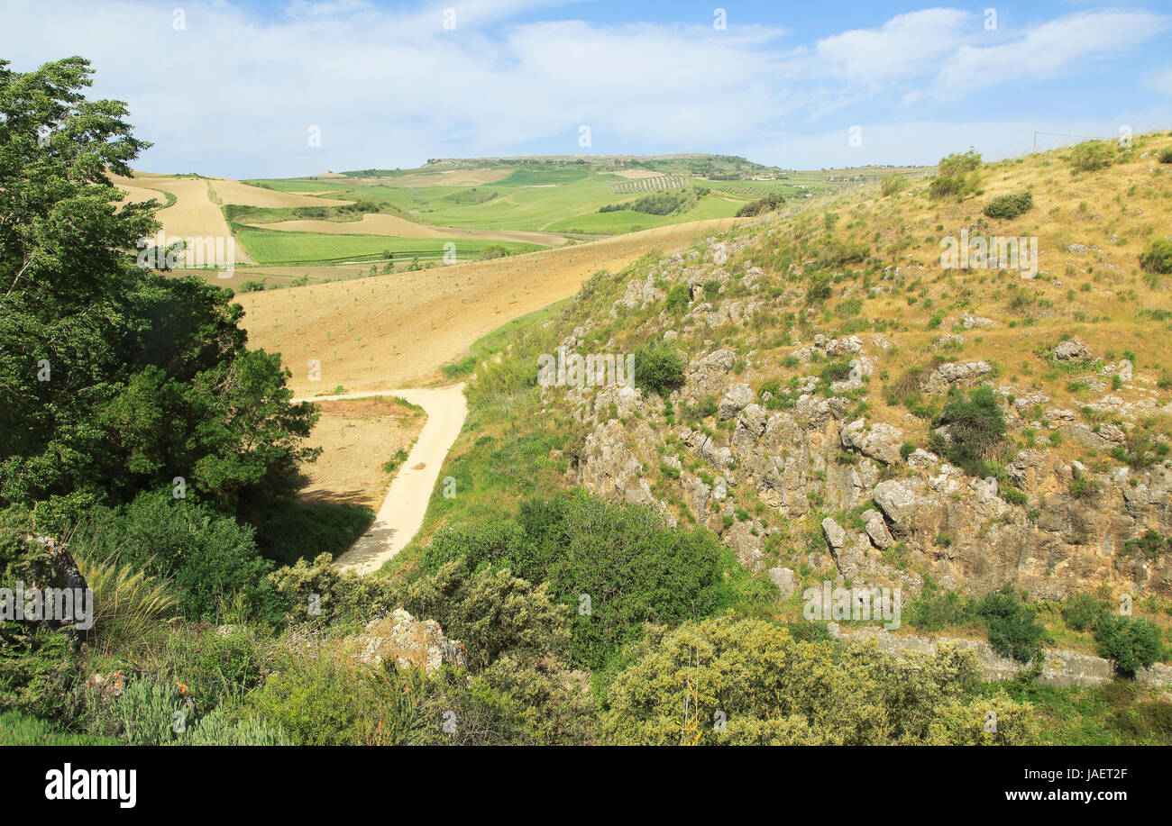 Terreno coltivato nella valle sotto Acinipo città romana sito Ronda la Vieja, Serrania de Ronda, Spagna Foto Stock