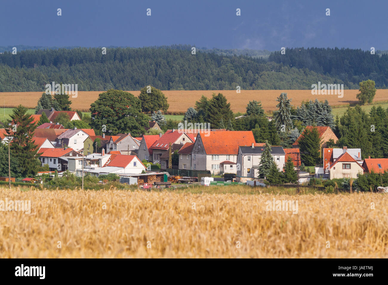 Blick auf Siptenfelde im Harz Foto Stock