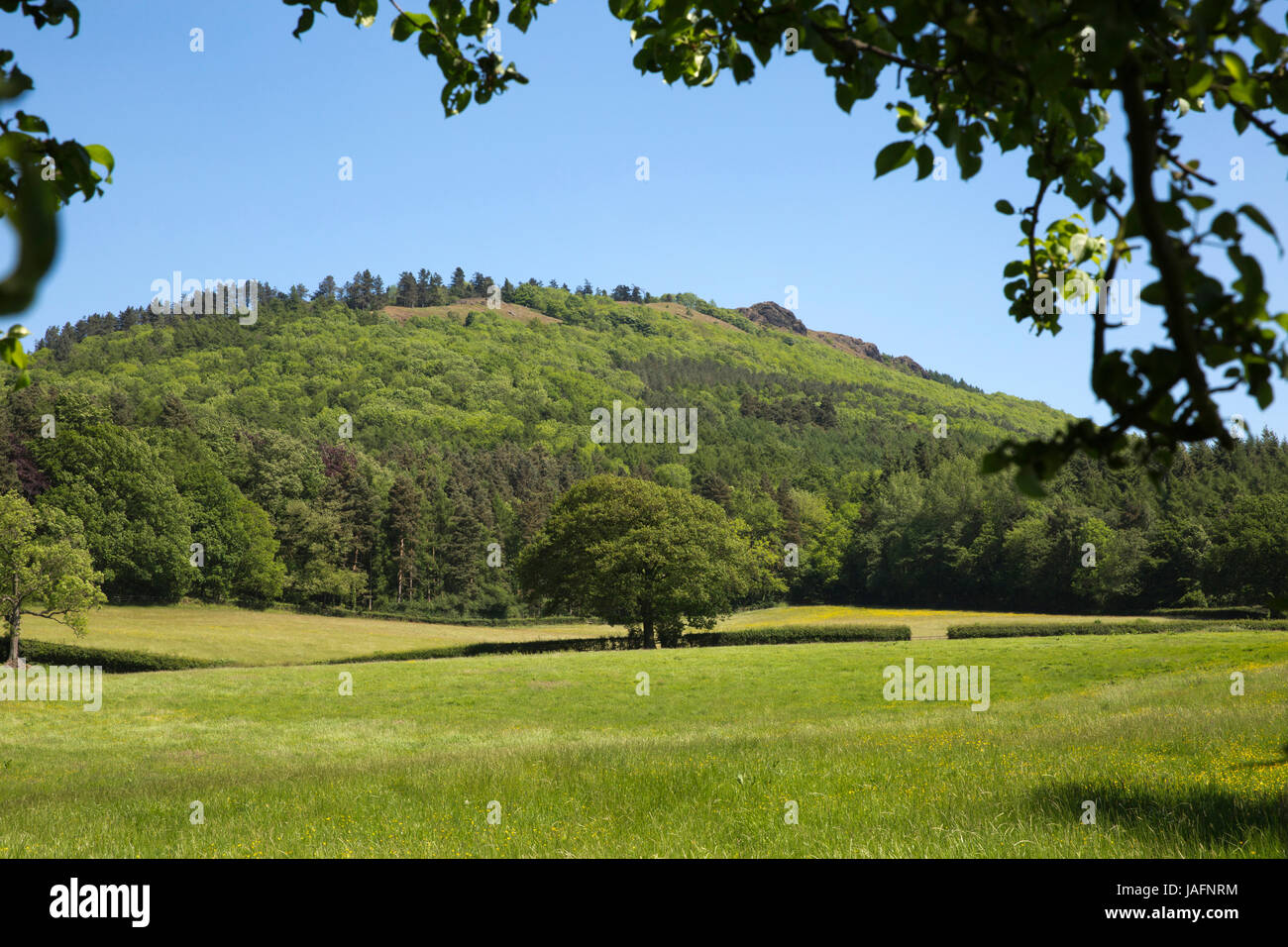 Regno Unito, Inghilterra, Shropshire, poco Wenlock, Il Wrekin, dalla corsia del tubo di lancio Foto Stock