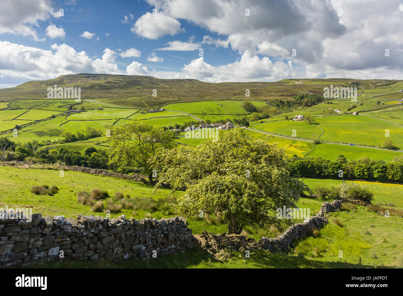 Arkengarthdale nel Yorkshire Dales e il piccolo telecomando borgo agricolo di Arkle cittadina nei pressi di Langthwaite, North Yorkshire Regno Unito Foto Stock