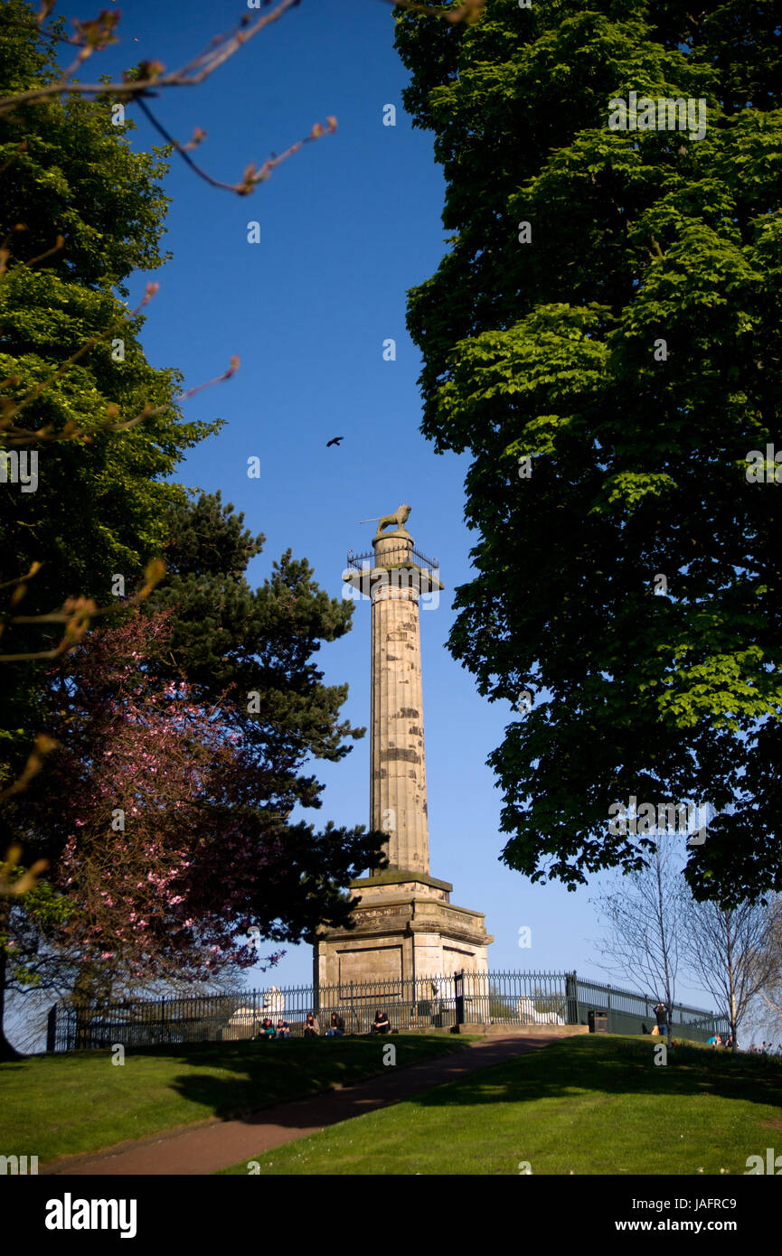 Percy Colonna dell'inquilino, Alnwick Foto Stock