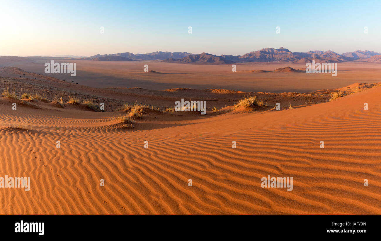 Vista del paesaggio del Namib Rand Riserva Naturale in Namibia, Africa Foto Stock