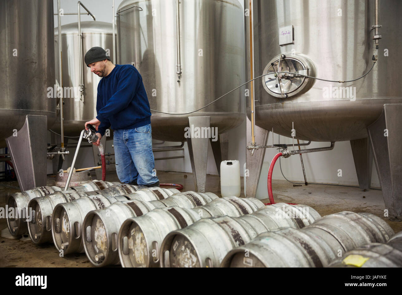 Un uomo ripieno di birra in barilotti di metallo da grandi vasche di fermentazione in una birreria. Foto Stock