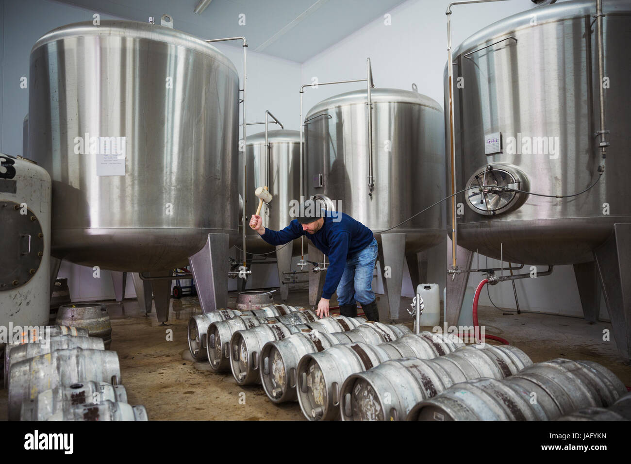 Uomo in piedi accanto a una fila di metallo barili di birra, il loro riempimento con birra da i serbatoi di fermentazione. Foto Stock
