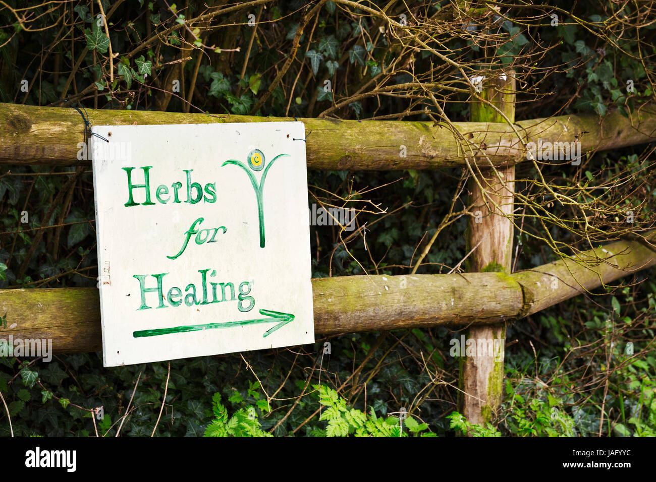 Lettura del segno "erbe per guarigione" su una staccionata di legno in un giardino. Foto Stock