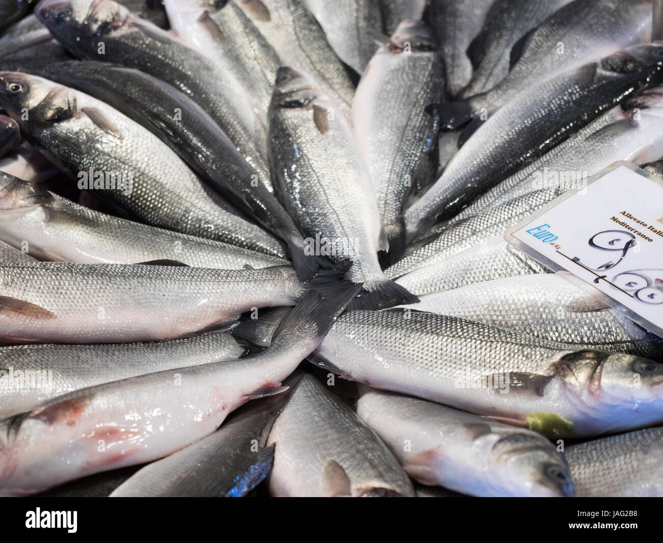 Close up di un mercato di stallo e prodotti freschi. Pesce fresco pescato del giorno e un'etichetta del prezzo. Foto Stock