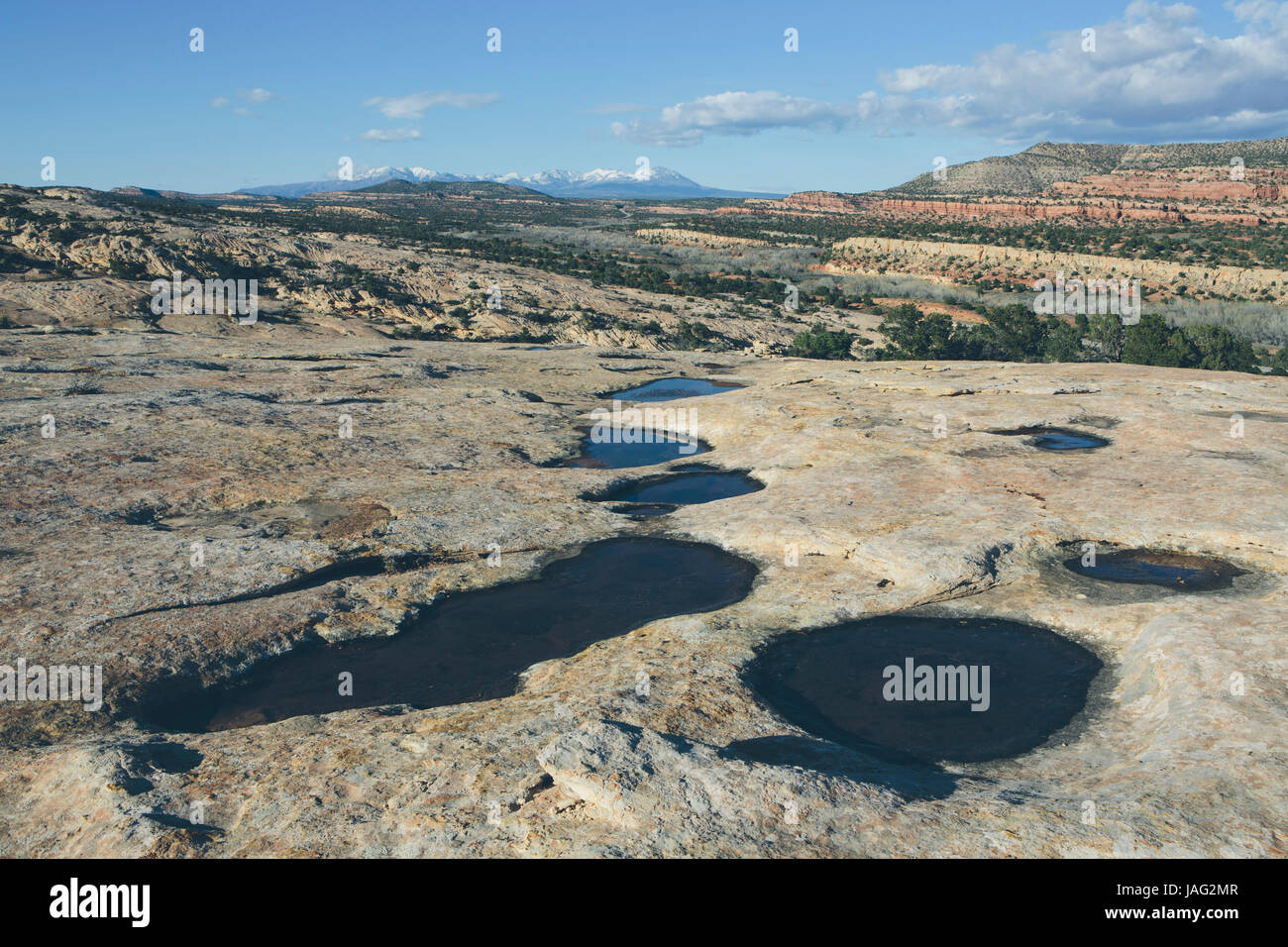 Acqua piscine, rock depressioni su Comb Ridge, porta le orecchie del monumento nazionale, Utah Foto Stock