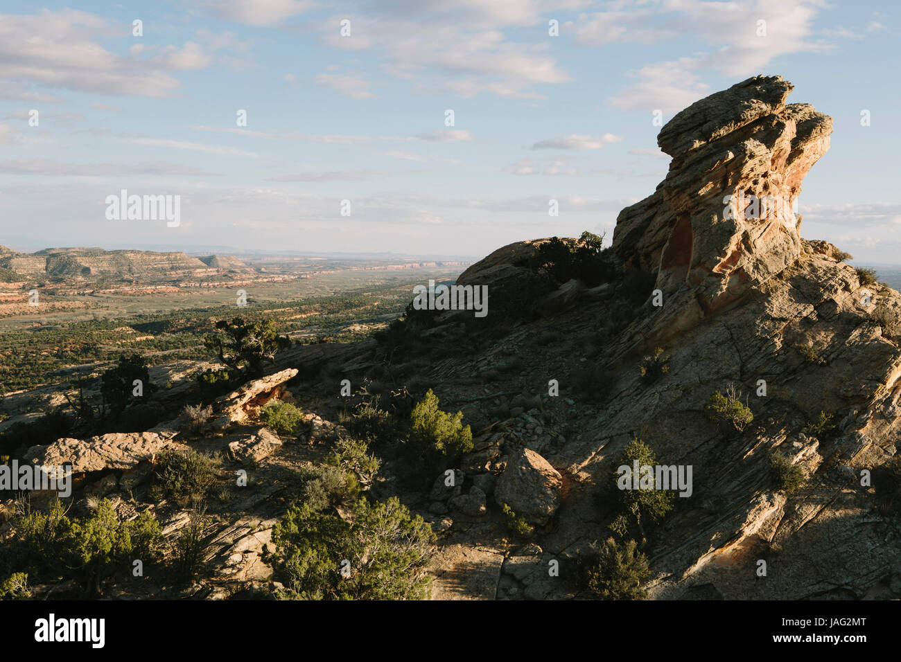 Le formazioni rocciose e il vertice del Comb Ridge, porta le orecchie Monumento Nazionale in Utah. Foto Stock