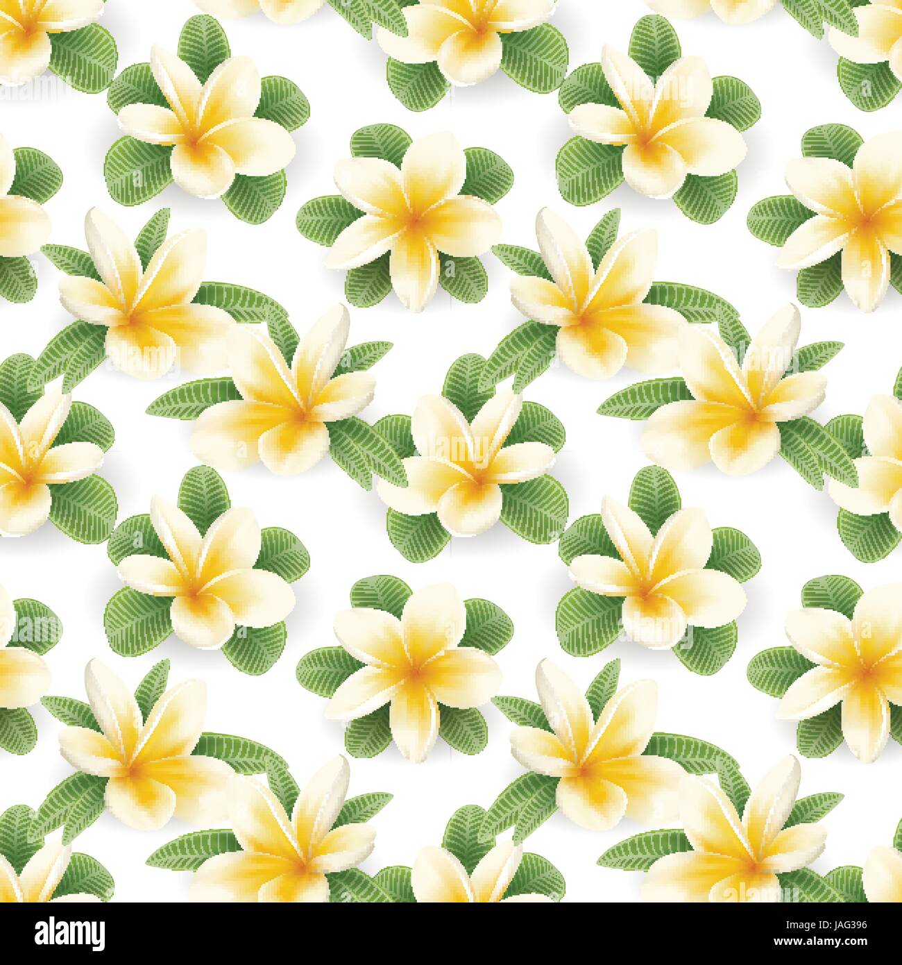 Plumeria pattern senza giunture Illustrazione Vettoriale