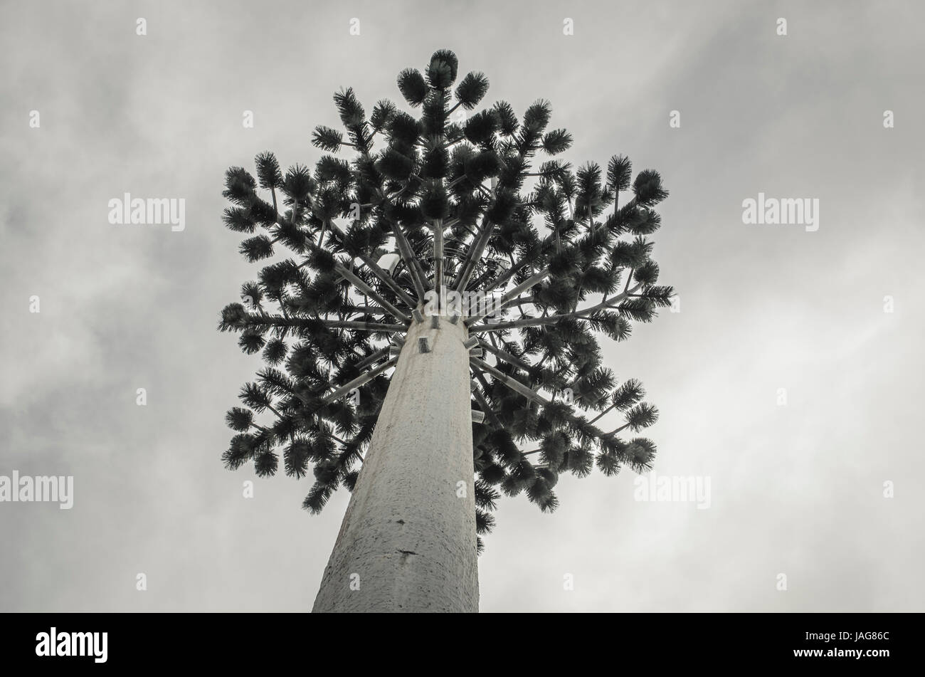 Torre di telecomunicazione arial dissimulata come tree Foto Stock