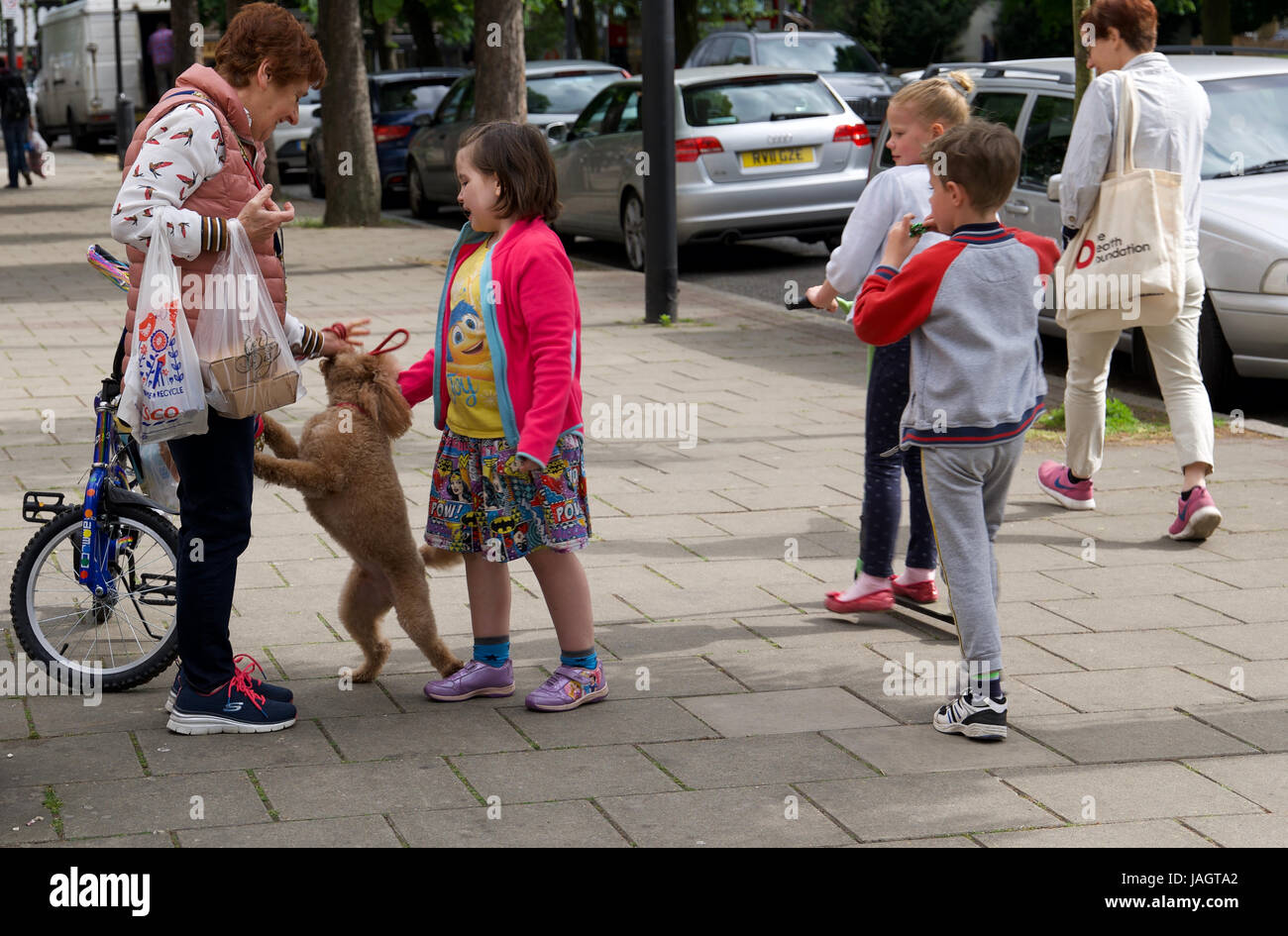 Street photography:cane e i bambini Foto Stock