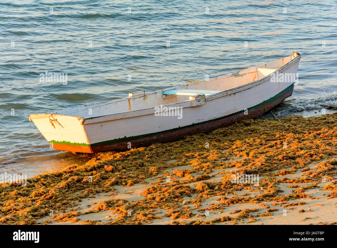 Vecchia barca di pesca bianca e Legno incastrato tra le alghe e sabbia Foto Stock