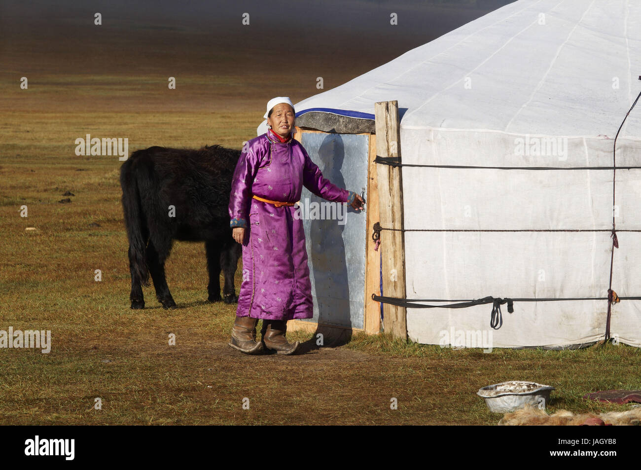 Mongolia,Asia centrale,provincia Arkhangai,donna prima Jurte, Foto Stock