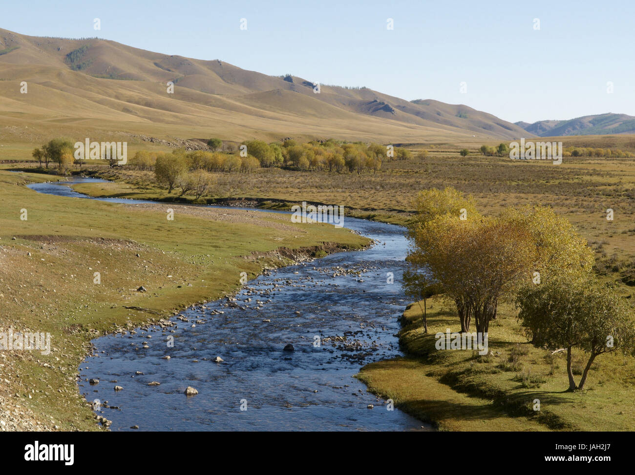 Mongolia,Asia centrale,provincia Arkhangai,River Valley, Foto Stock