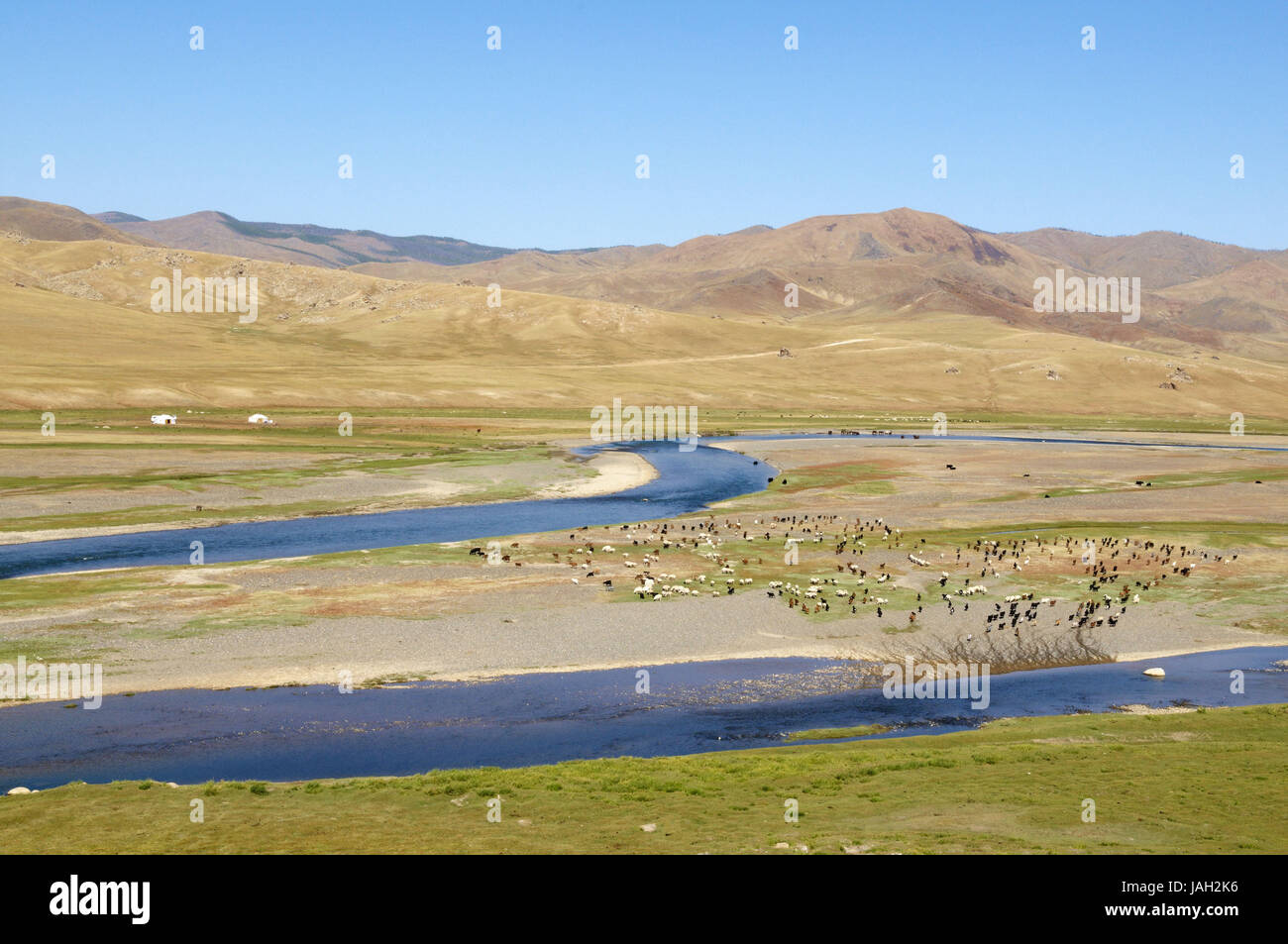 Mongolia,Asia centrale,Ovorkhangai provincia,storica Valle Orkhon,UNESCO patrimonio mondiale,flusso Orkhon,gregge di pecore,pascolo, Foto Stock