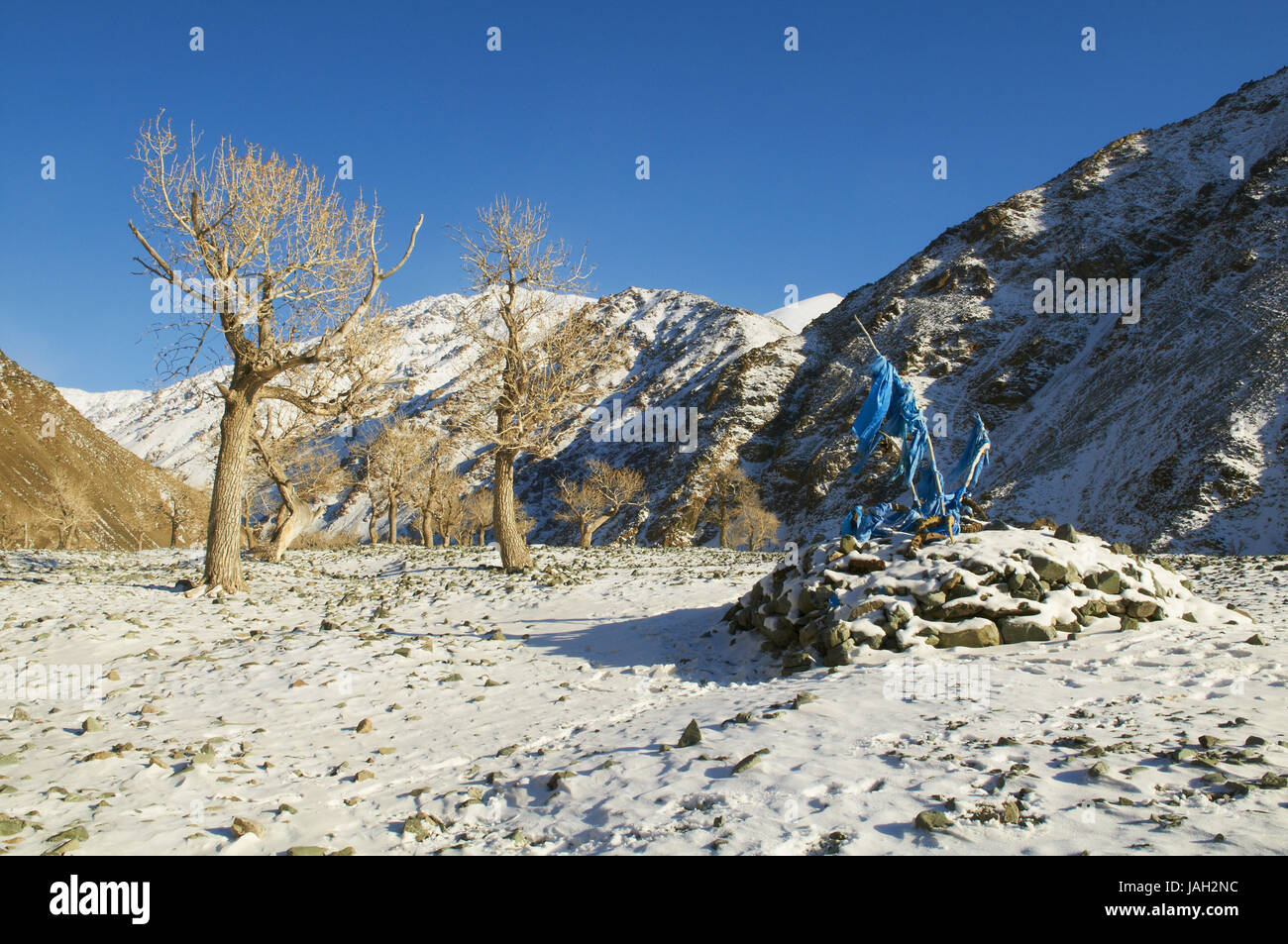 Mongolia,Khovd provincia,paesaggio invernale,alberi,cordoni bleu,Khatag,tradizionale saluto sciarpa, Foto Stock
