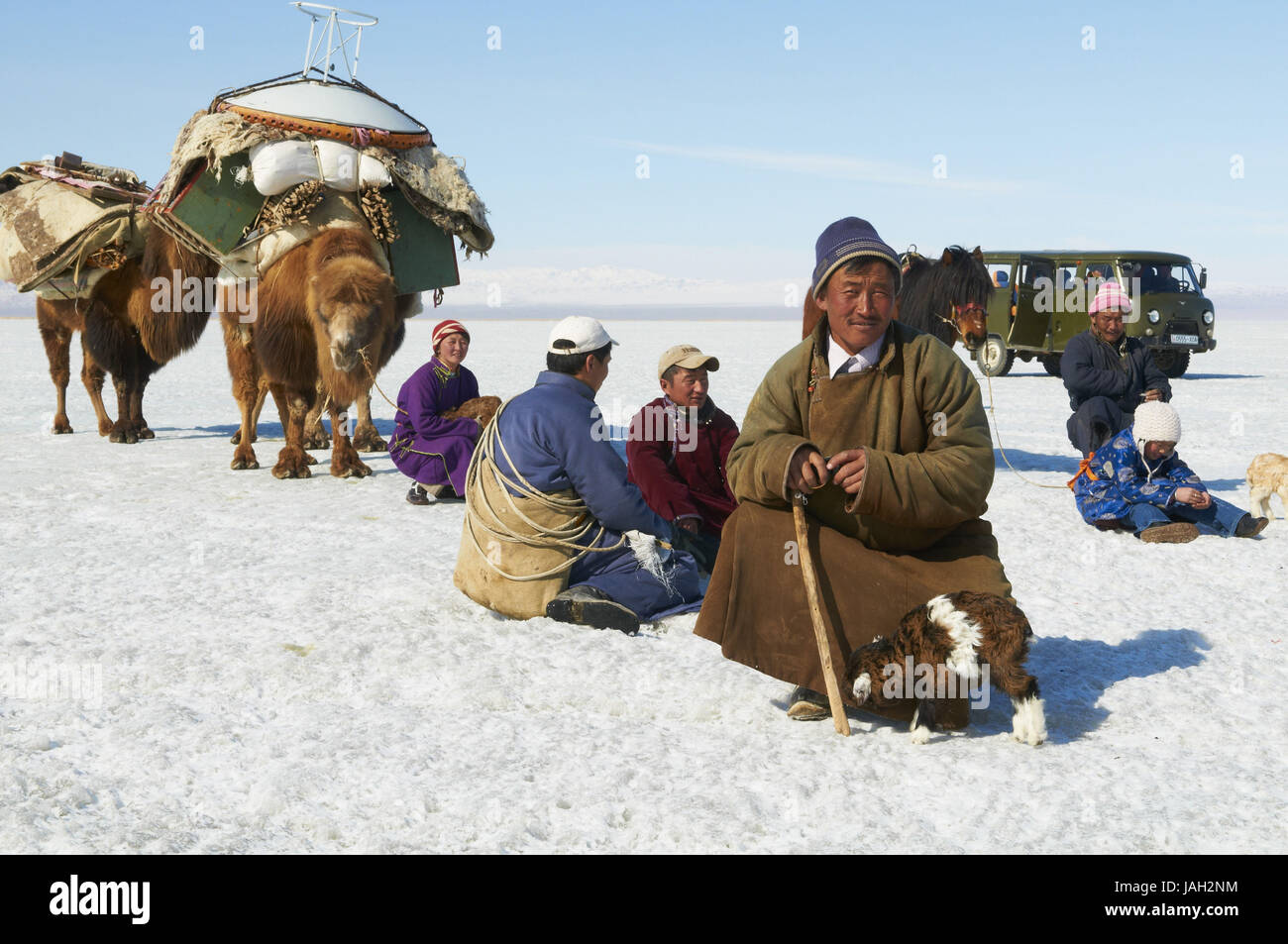 Mongolia,Khovd provincia,nomad,cammelli,escursioni,riposo,steppa,l'inverno, Foto Stock