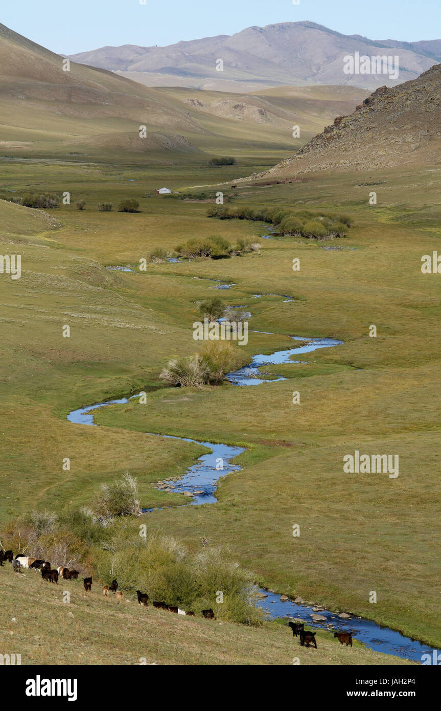 Mongolia,Asia centrale,provincia Arkhangai,flusso nella steppa, Foto Stock