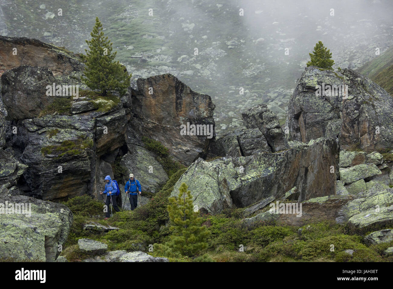 Wanderer,le Alpi dello Stubai,Alto Adige,l'Austria, Foto Stock