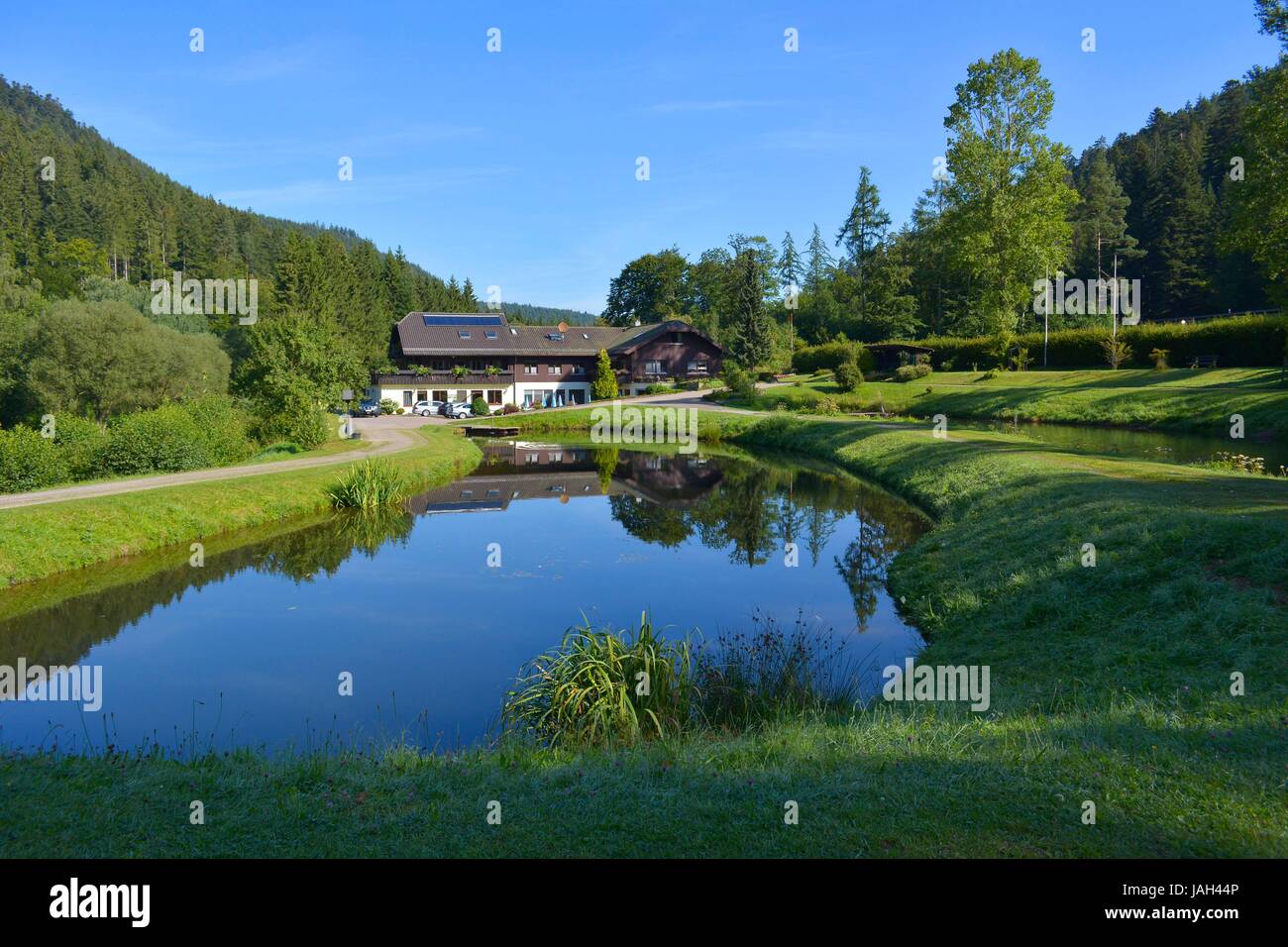 Schwarzwald, kleines Enztal, Forellenzucht Nordschwarzwald, Forellenteichbecken, bei La Neuweiler, Foto Stock