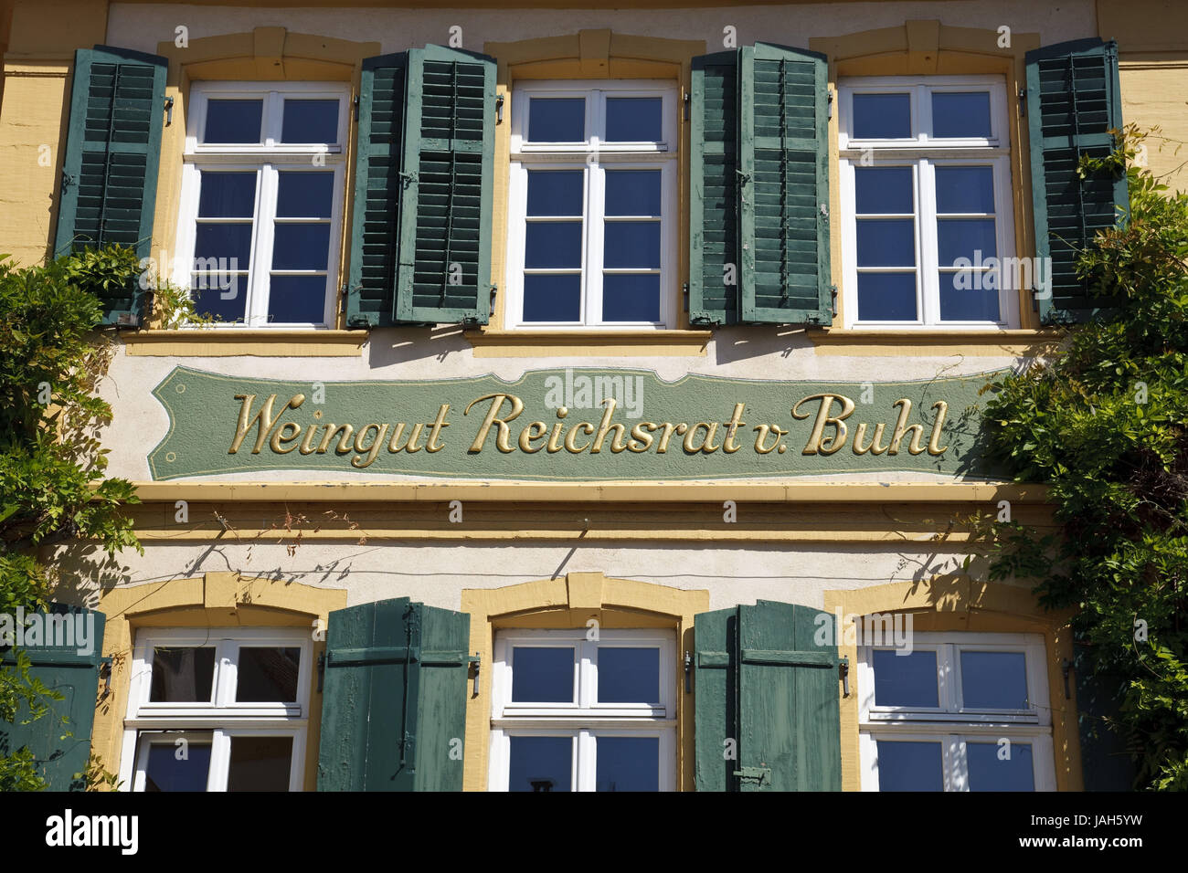 La germania,Palatinato,casa Deides,vigneto "imperial consiglio di corteggiamento', Foto Stock