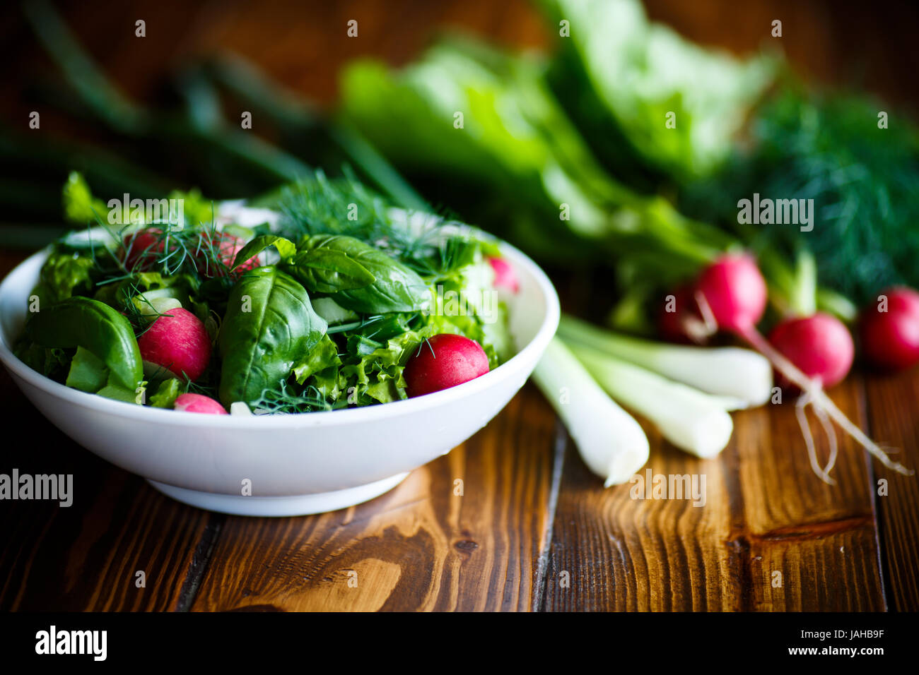 Insalata primaverile dai primi di verdure, foglie di lattuga, ravanelli e erbe aromatiche Foto Stock