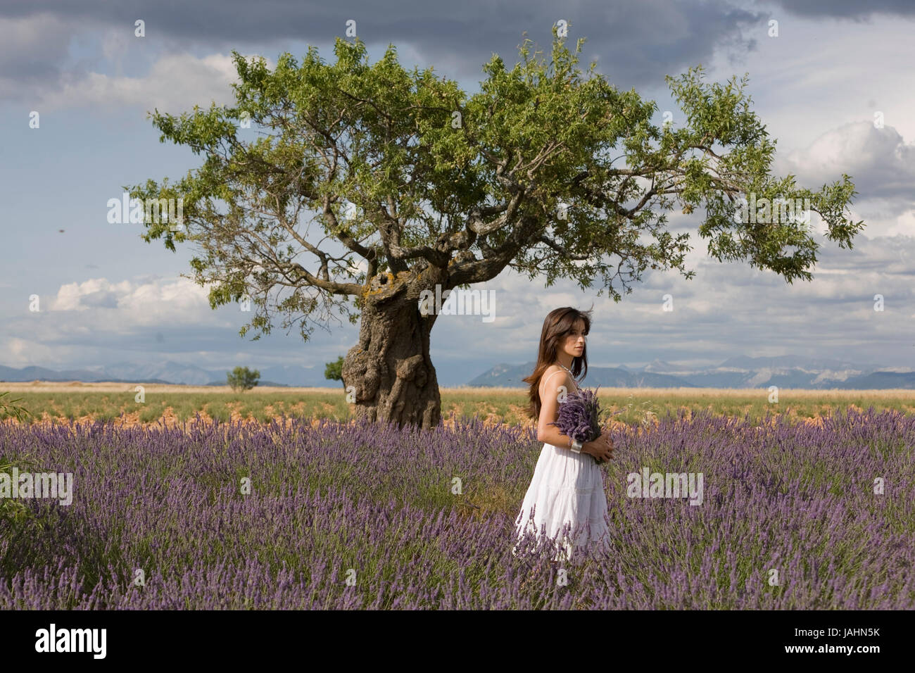 Giovane donna in un campo di lavanda in Provenza, nel sud della Francia. Foto Stock