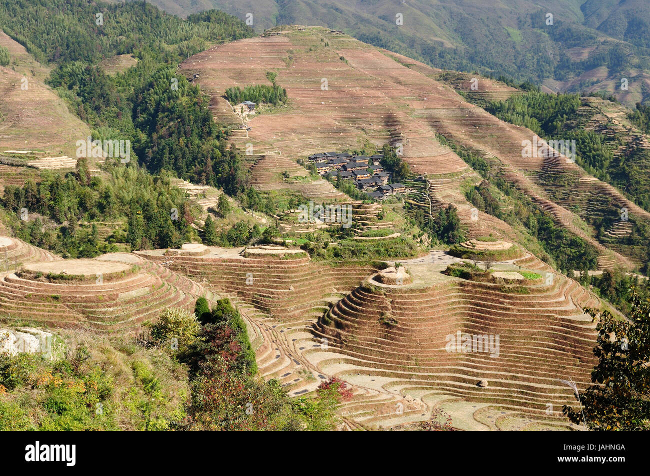 Antica belle terrazze di riso di Longsheng vicino a Guilin, provincia del Guanxi, Cina Foto Stock