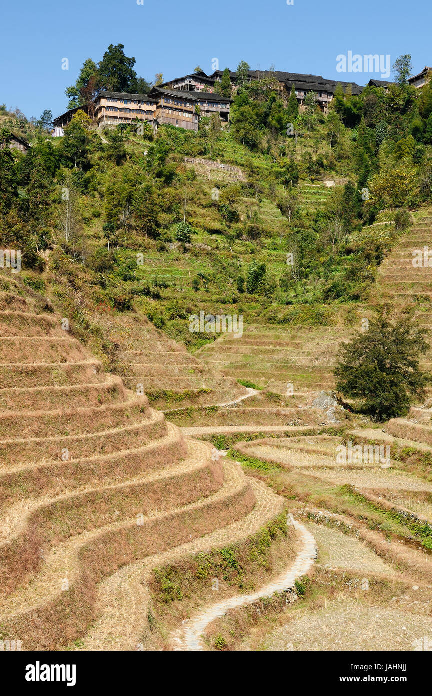 Antica belle terrazze di riso di Longsheng vicino a Guilin, provincia del Guanxi, Cina Foto Stock