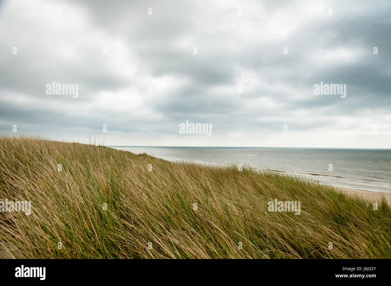 Spiaggia erbosa dal mare su un meditabondo giorno nuvoloso Foto Stock